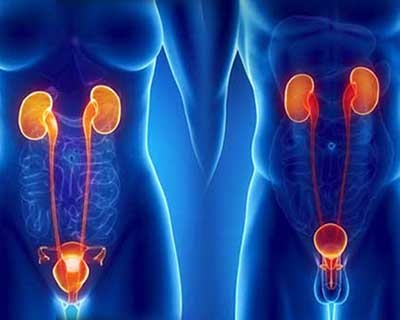 Laboratorio Análisis Clínicos NovaLab Chequeos